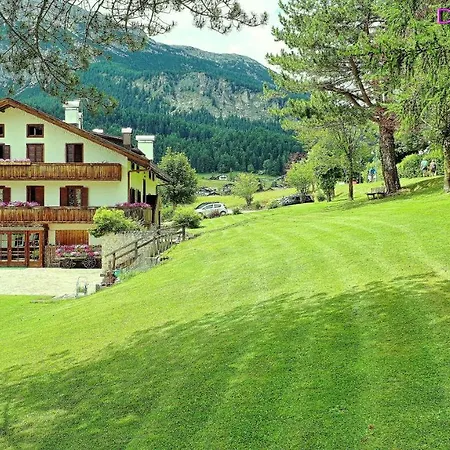 Menardi 3*